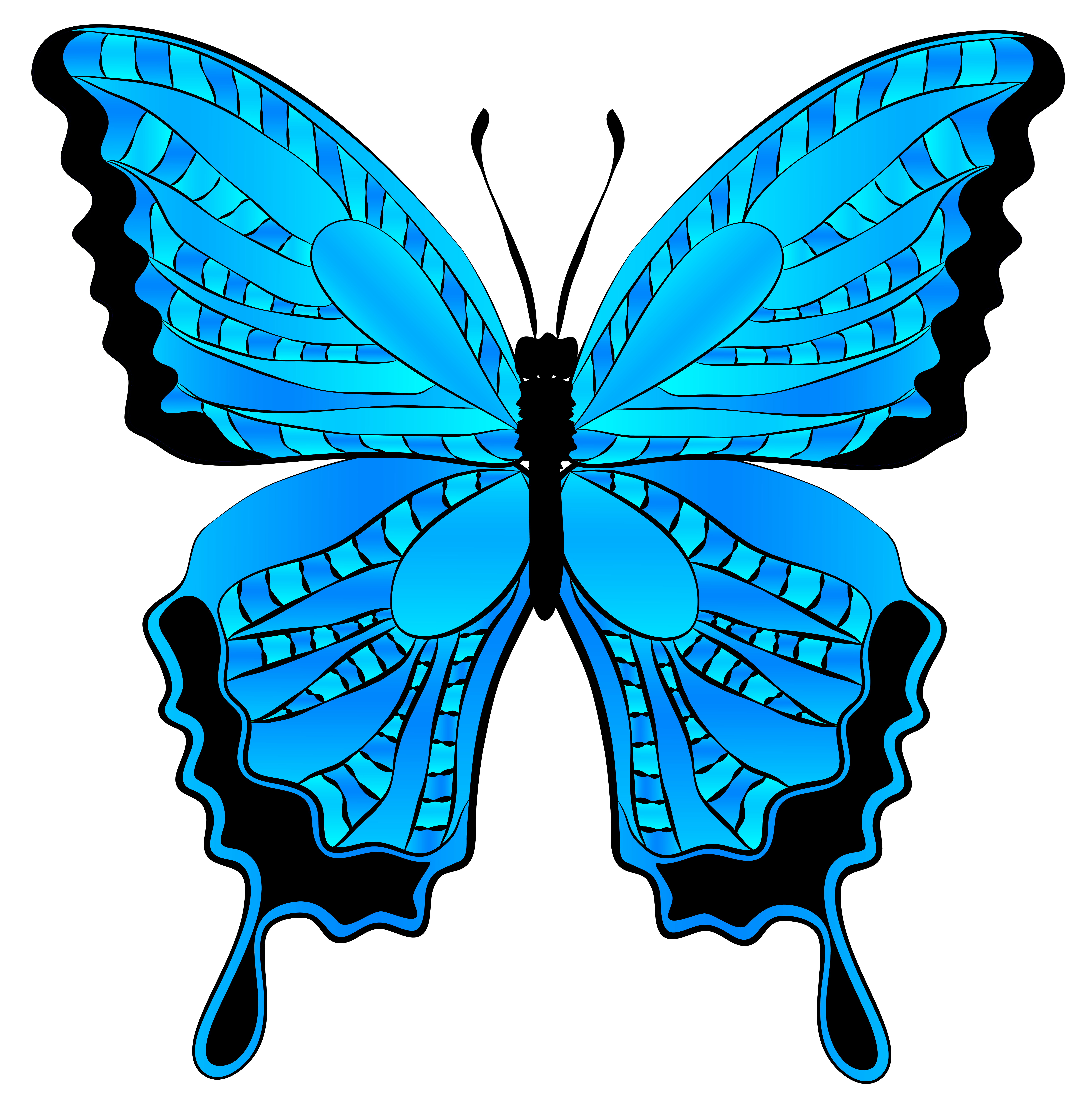free butterfly clipart png - photo #49