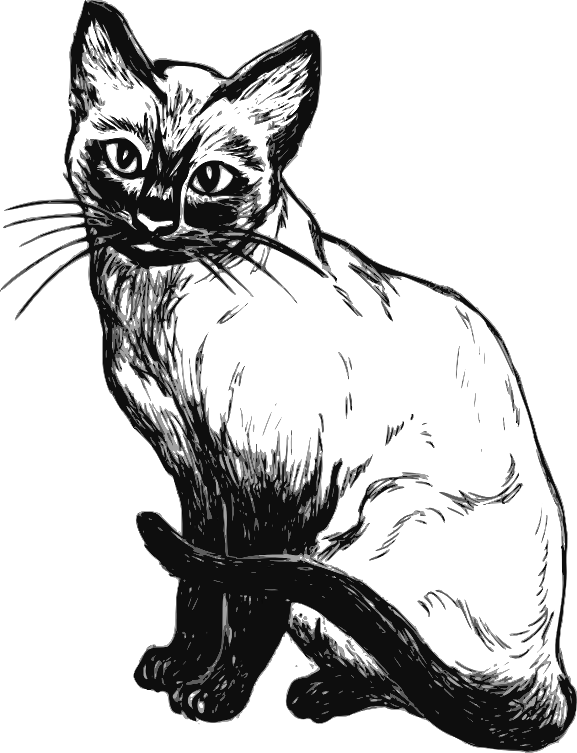 cat vector clipart free - photo #50