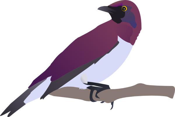 free clipart images birds - photo #50
