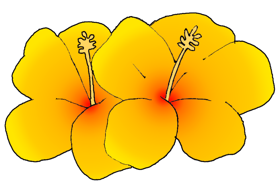 free clip art australian flowers - photo #45