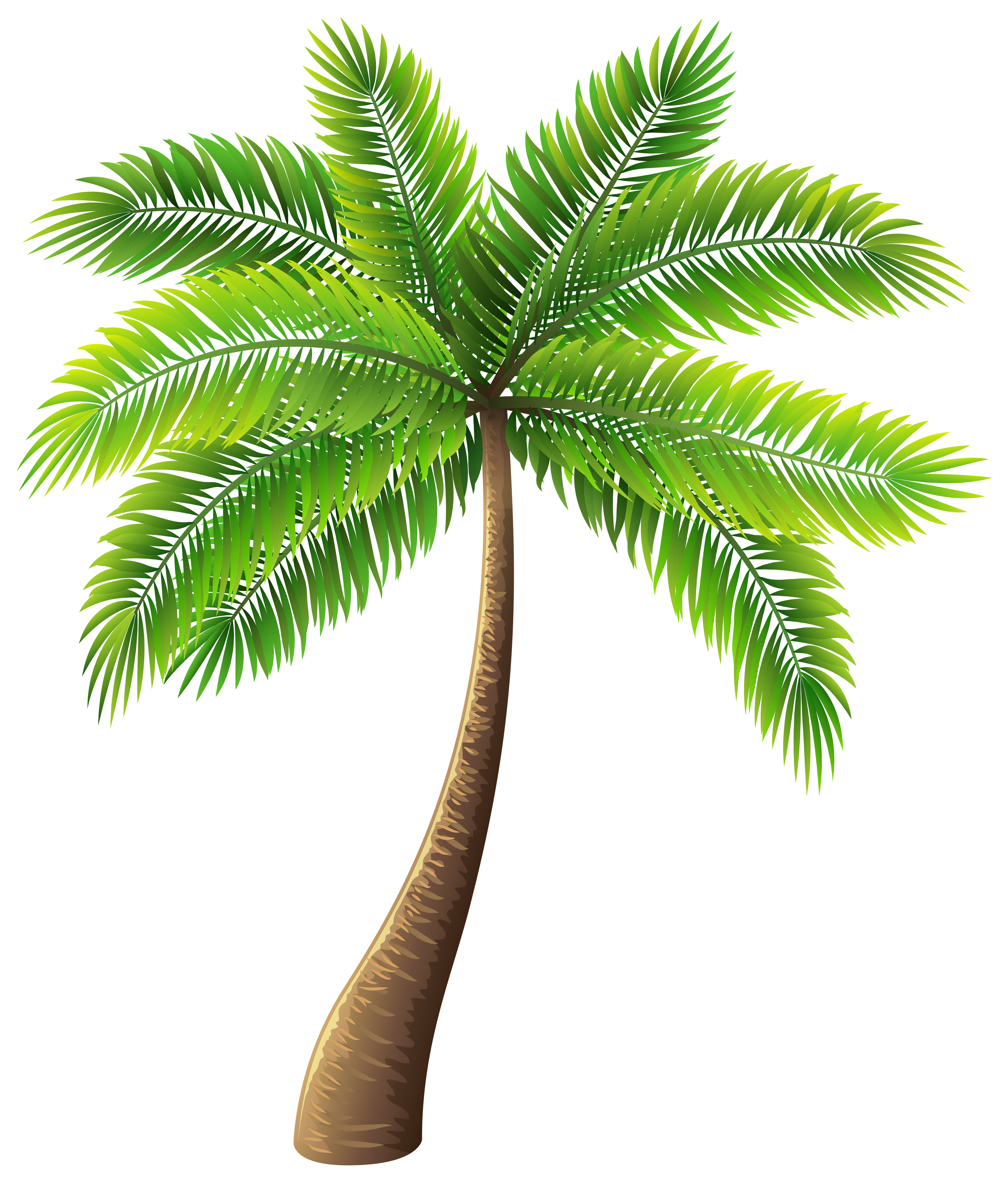 clip art free palm tree - photo #46