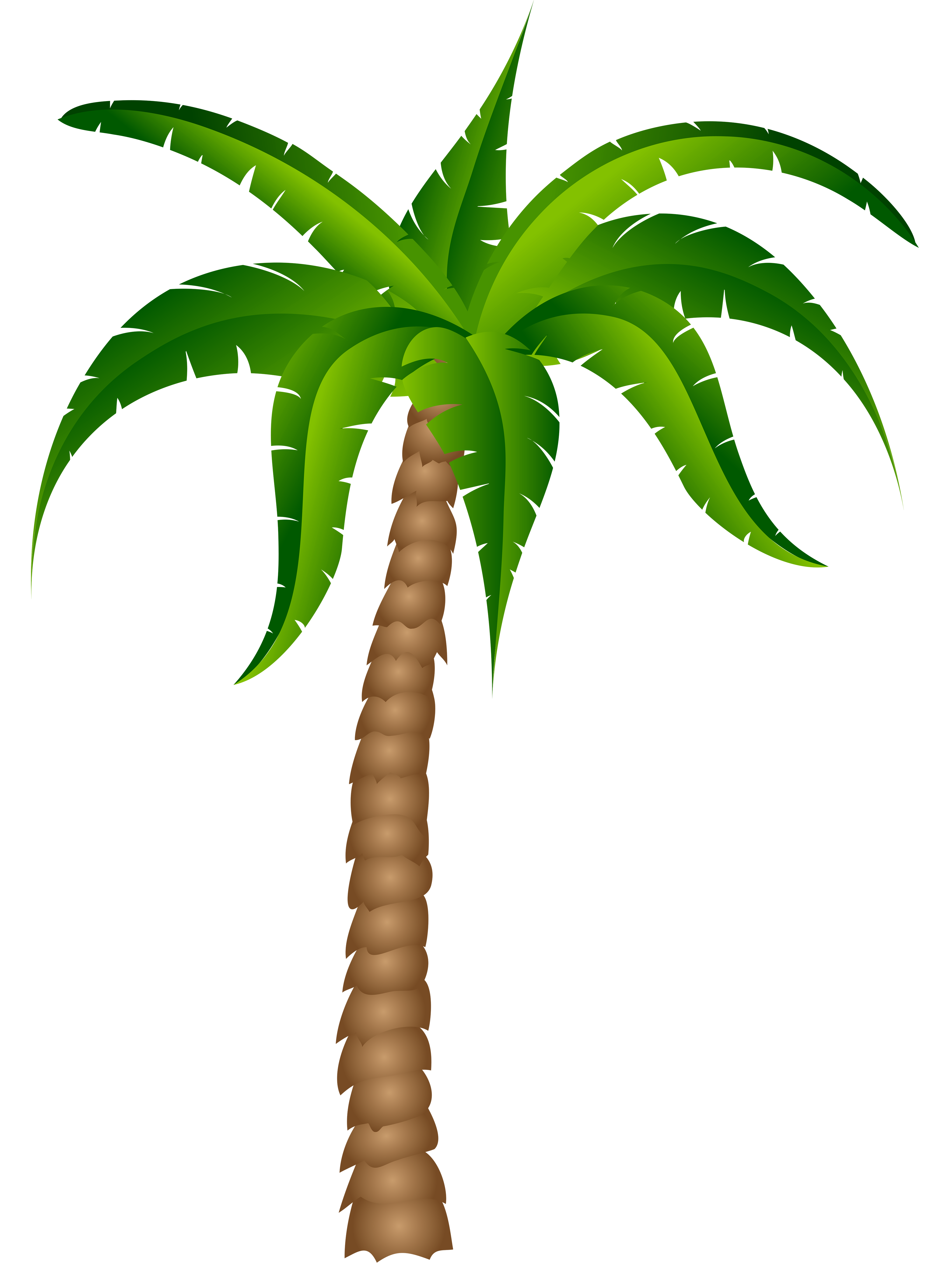 palm tree clip art - photo #35