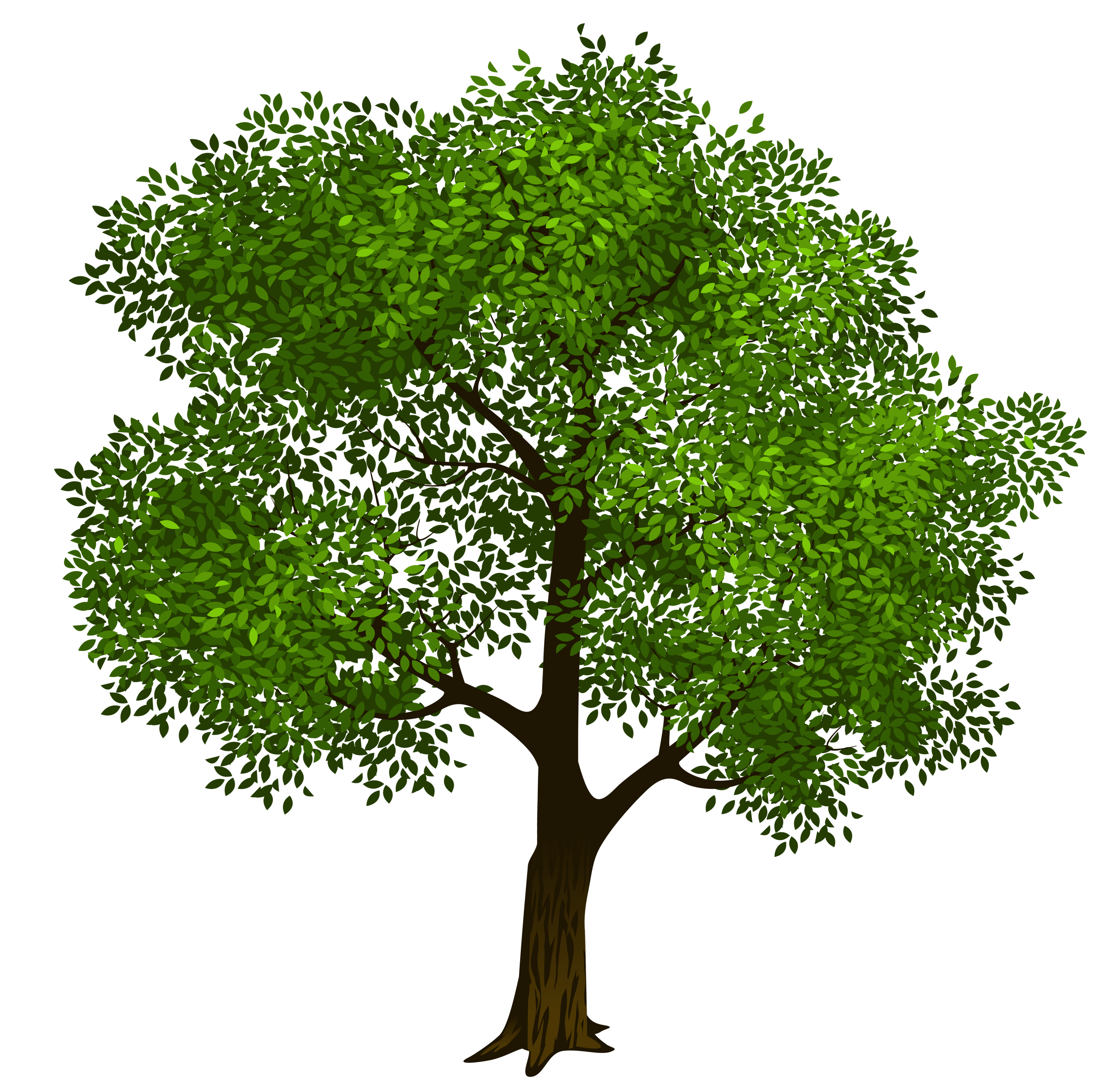 png clipart tree - photo #7