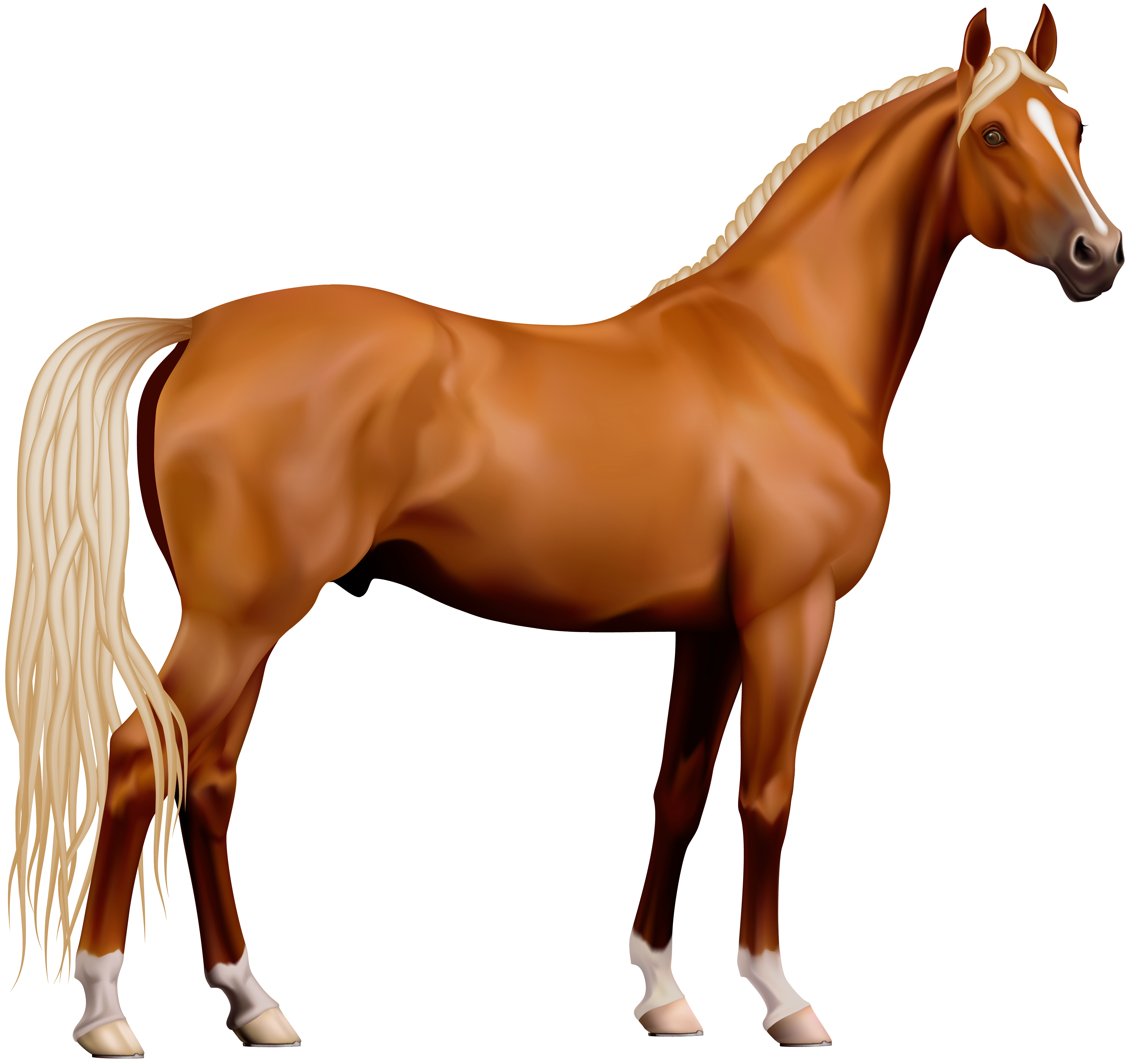 clipart image of a horse - photo #33