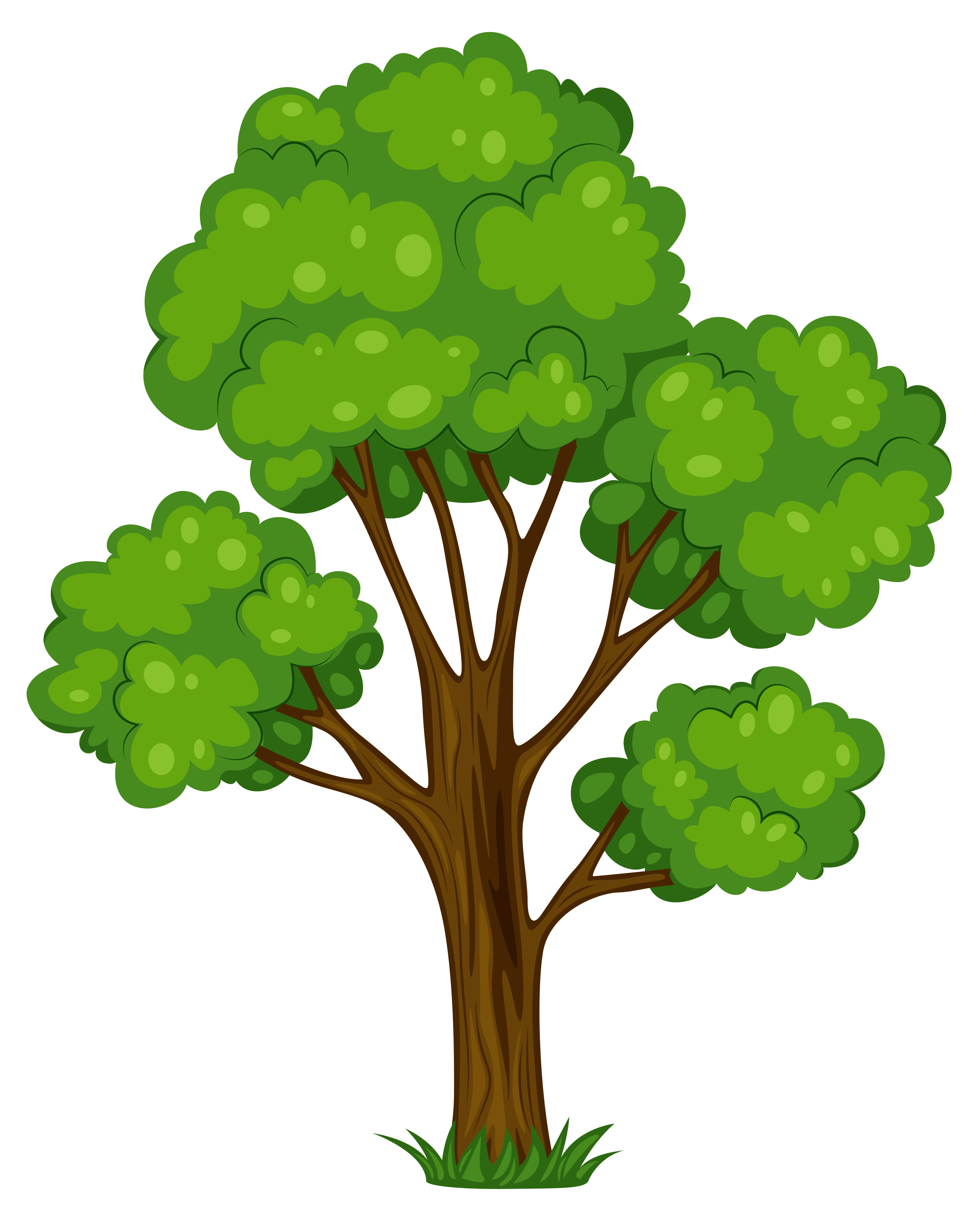 clipart picture of tree - photo #13