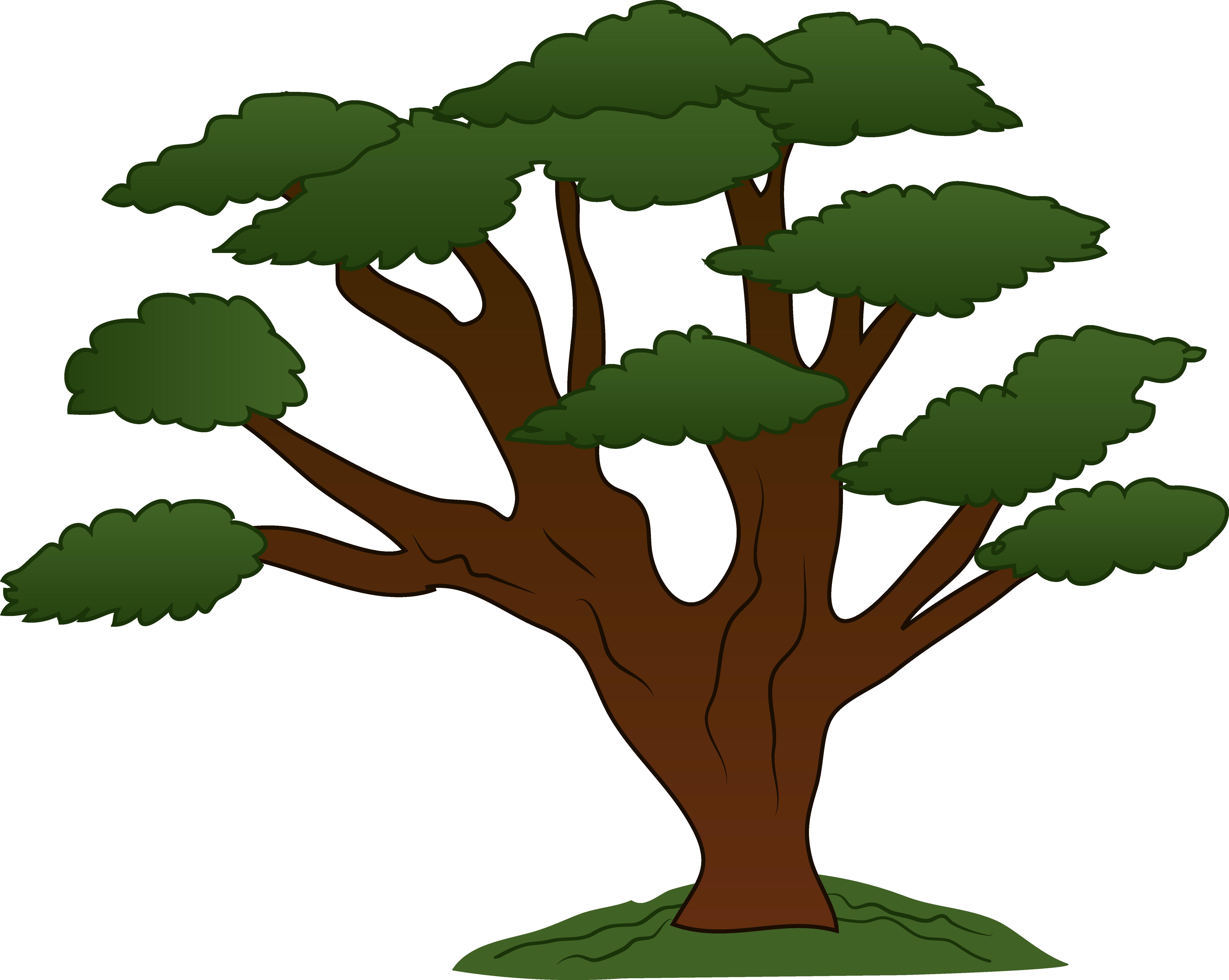 png clipart tree - photo #39