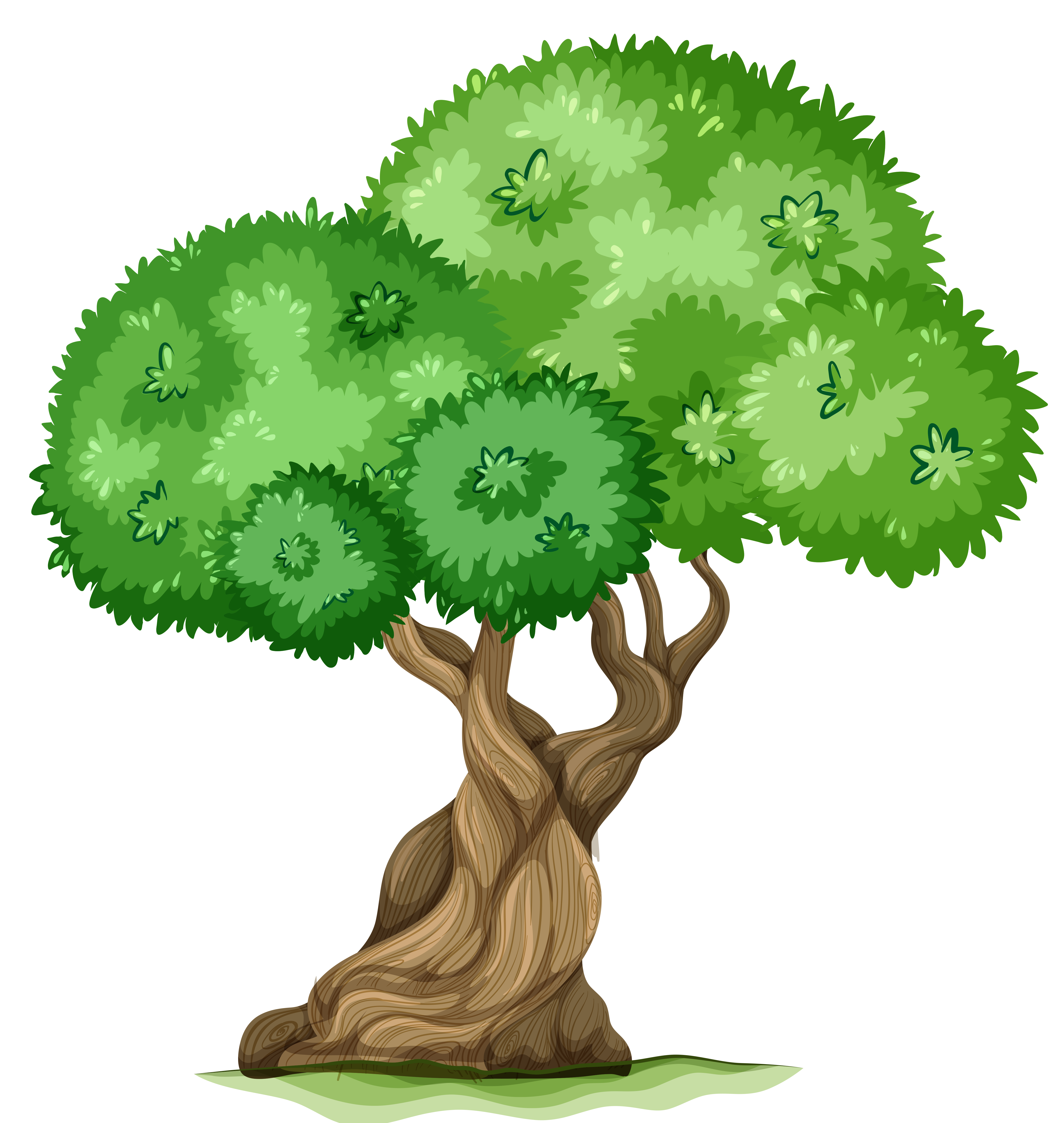 tree clipart download - photo #40