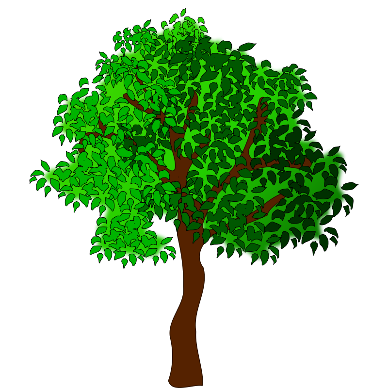 tree clipart vector free - photo #6