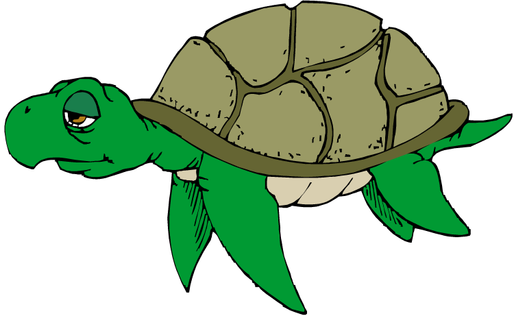 clipart turtle clip art - photo #26