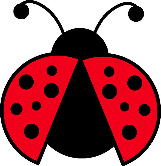 clipart ladybug - photo #18