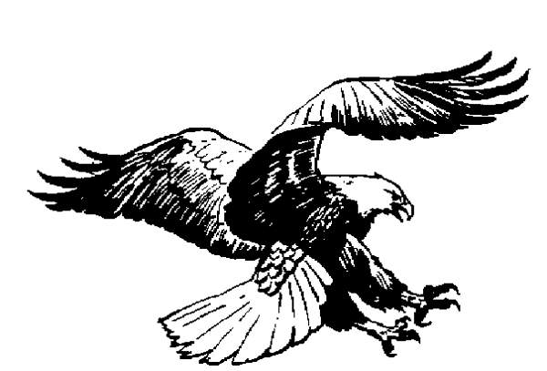 clipart eagle free - photo #48
