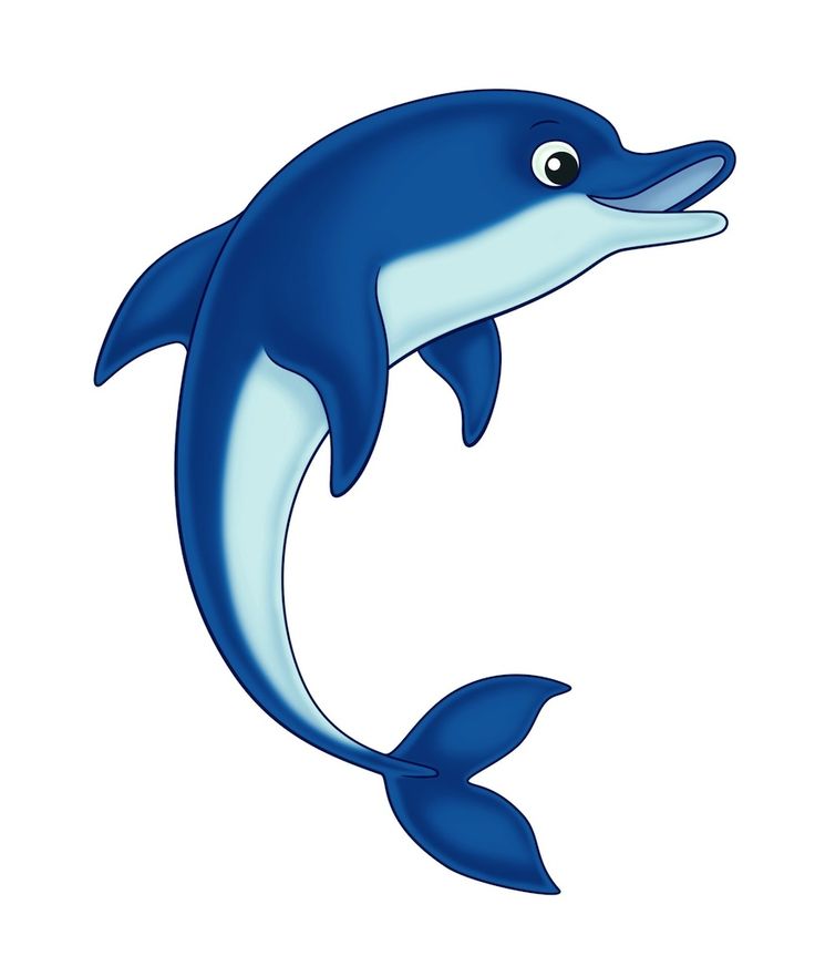 free animated dolphin clipart - photo #7