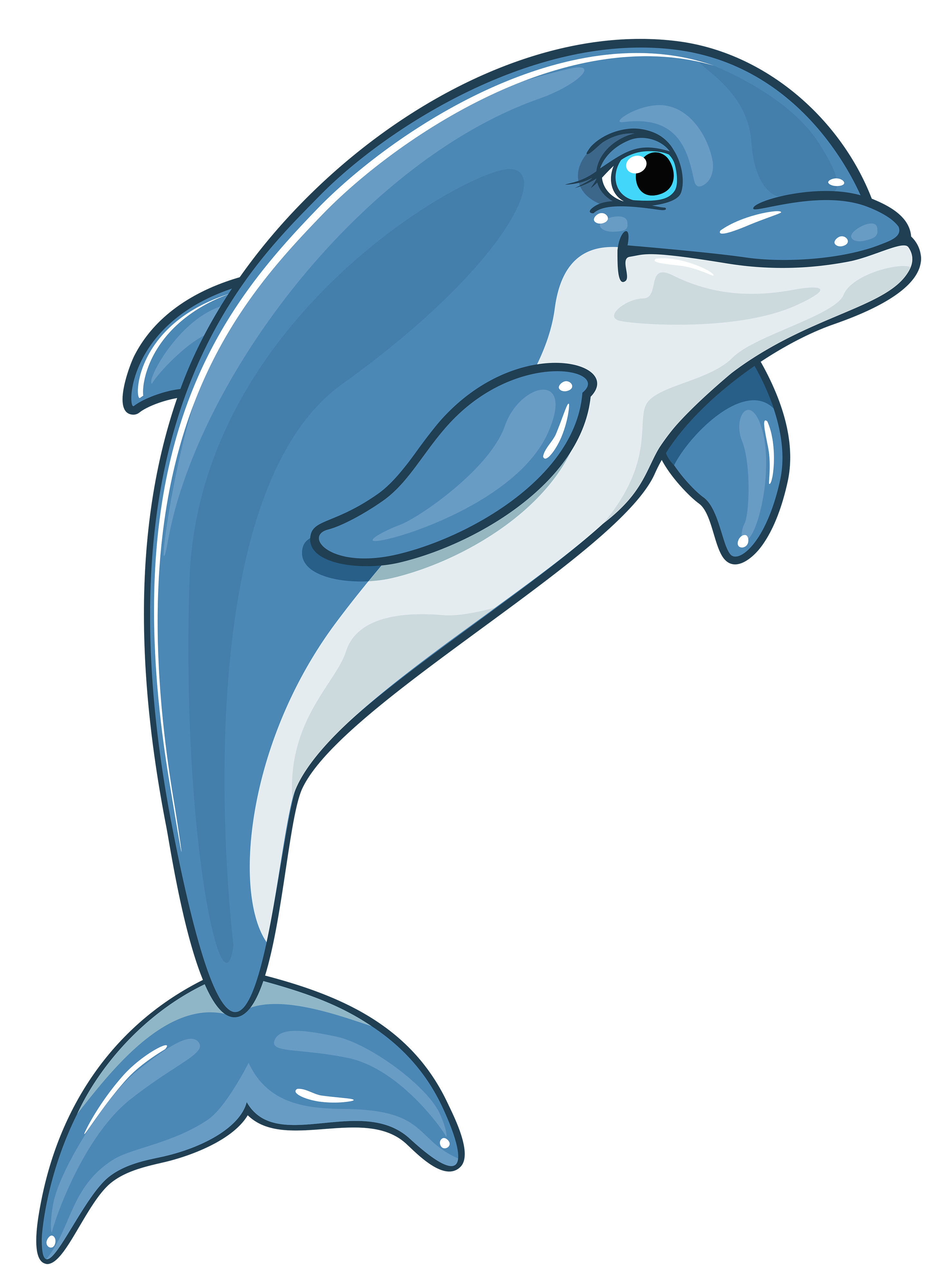 free animated dolphin clipart - photo #22