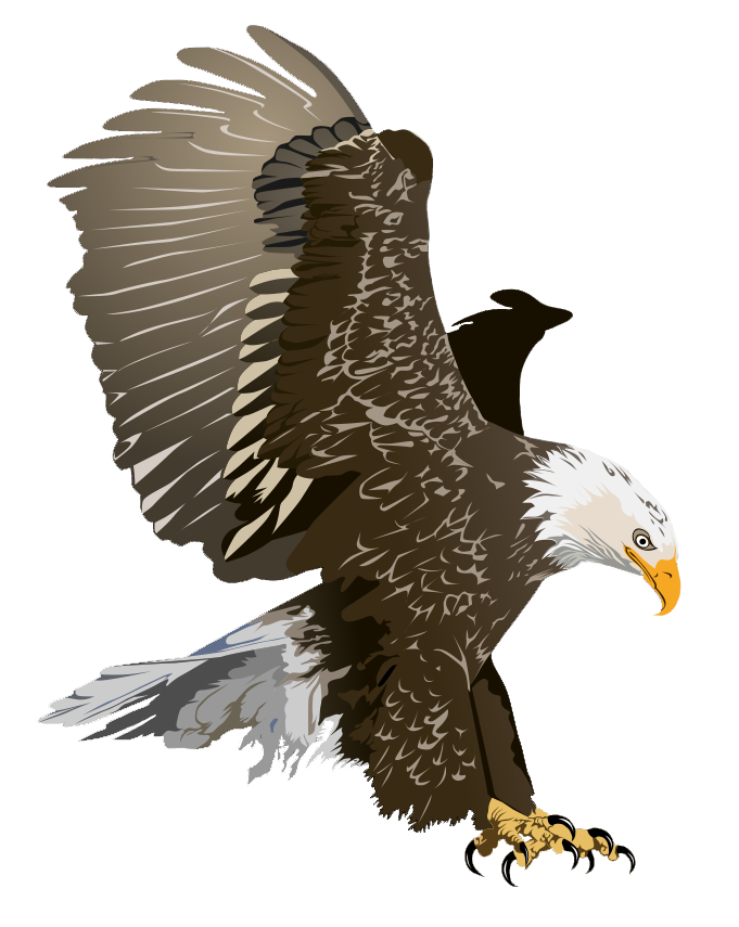 free eagle head clipart - photo #46