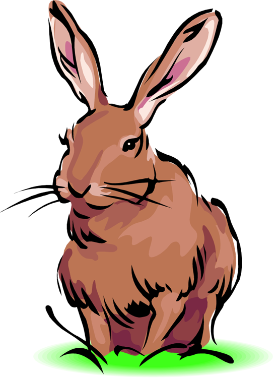 free clipart easter bunny face - photo #43