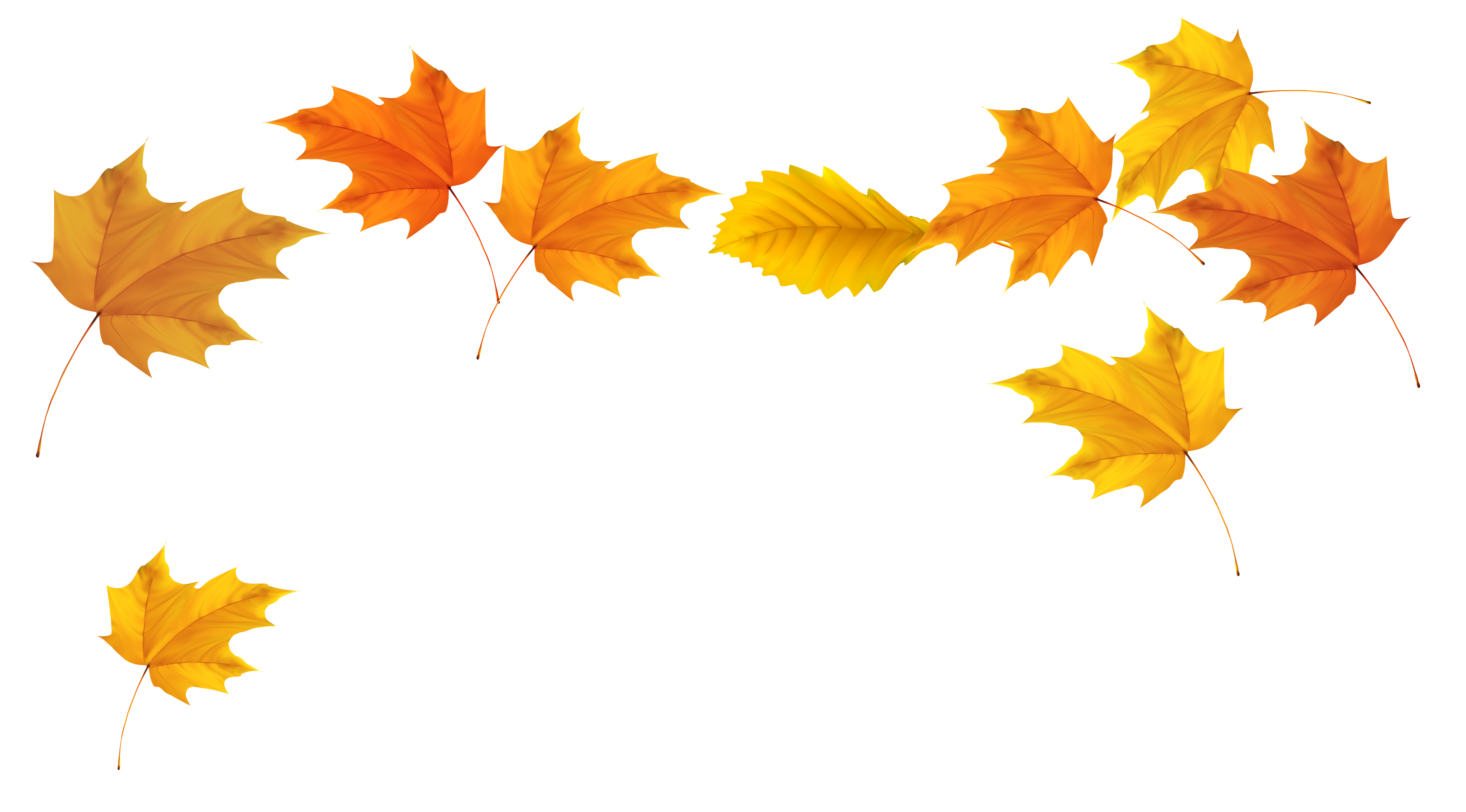 Fall leaves tree with autumn leaves illustrationlor clip art 3