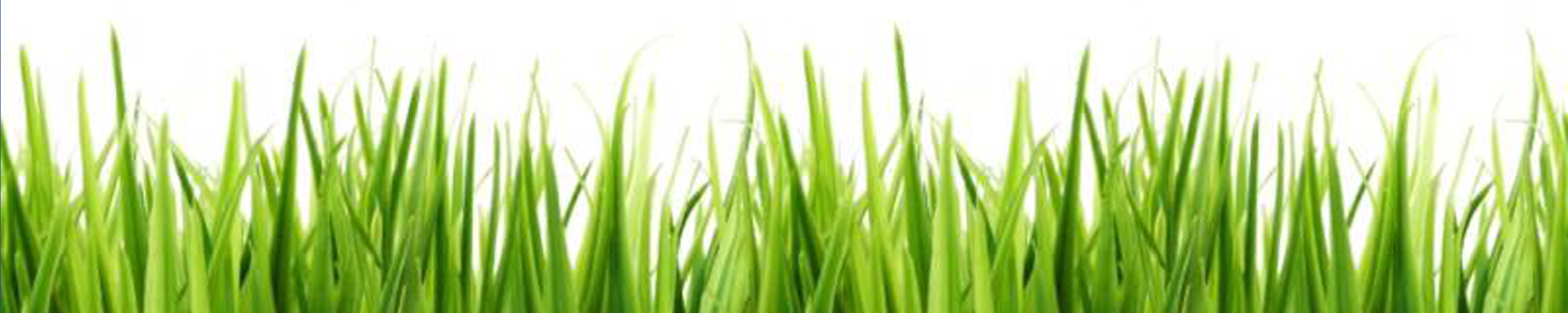 free clipart green grass - photo #43
