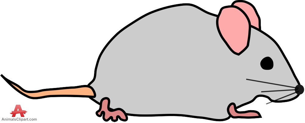 house mouse clipart - photo #32