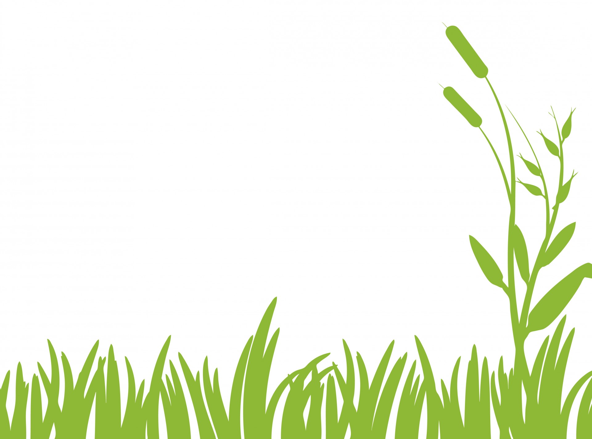 free grass pictures clip art - photo #37