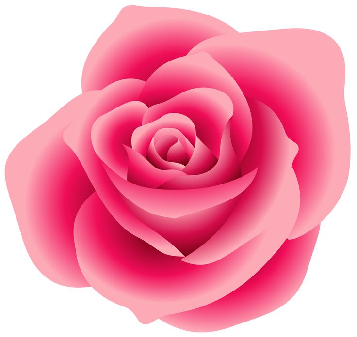 rose clip art sms - photo #49