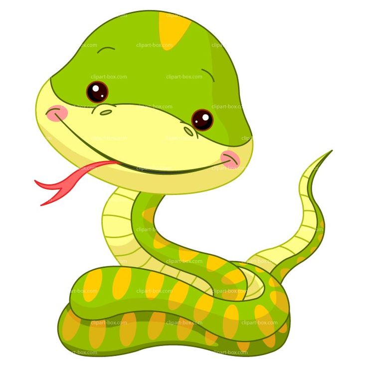 Pictures of cartoon snakes clipart clipartix - Cliparting.com
