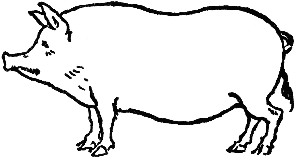 free black and white pig clipart - photo #4