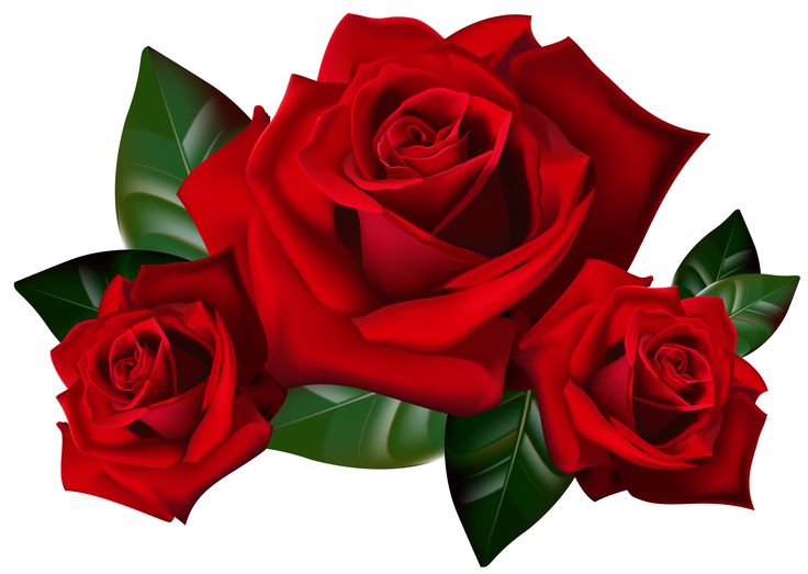 clipart red roses free - photo #31