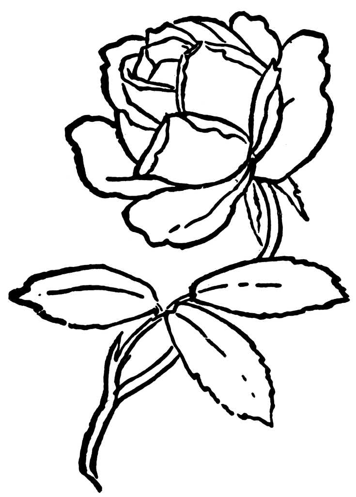 clipart noeud rose - photo #49