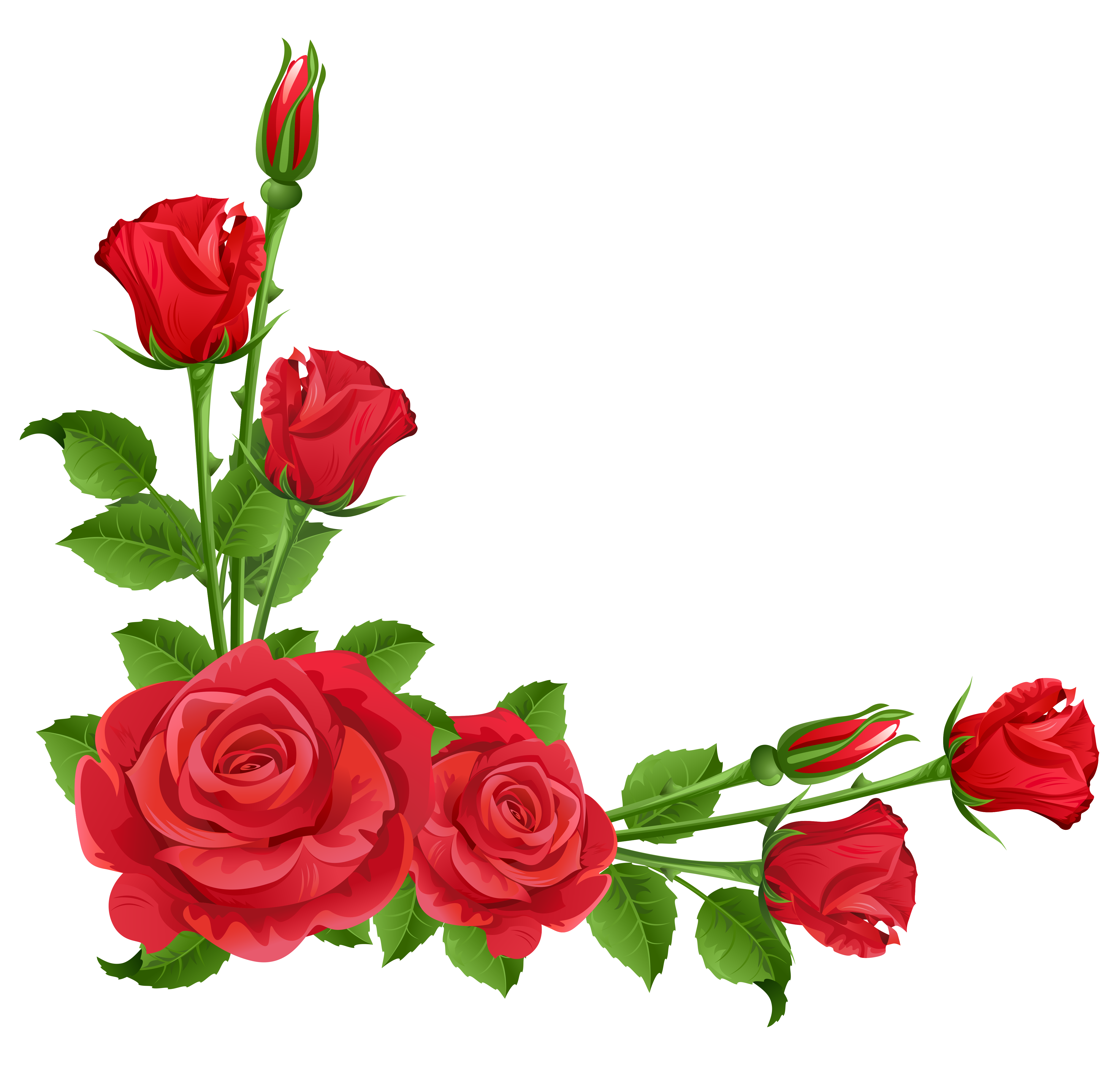 red roses clipart - photo #10
