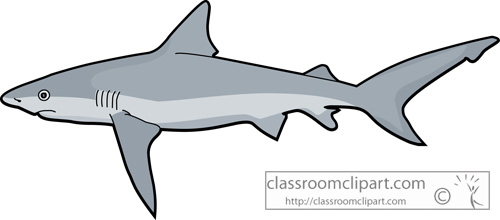 free cartoon shark clipart - photo #30