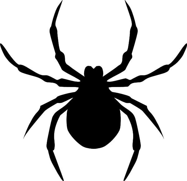 clipart of spider - photo #41