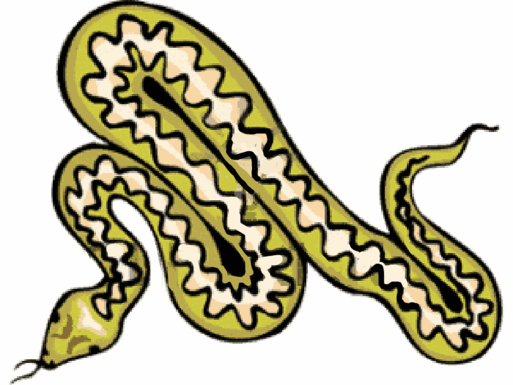 clipart cartoon snake - photo #38