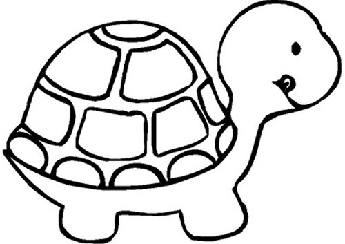 free black and white turtle clip art - photo #9