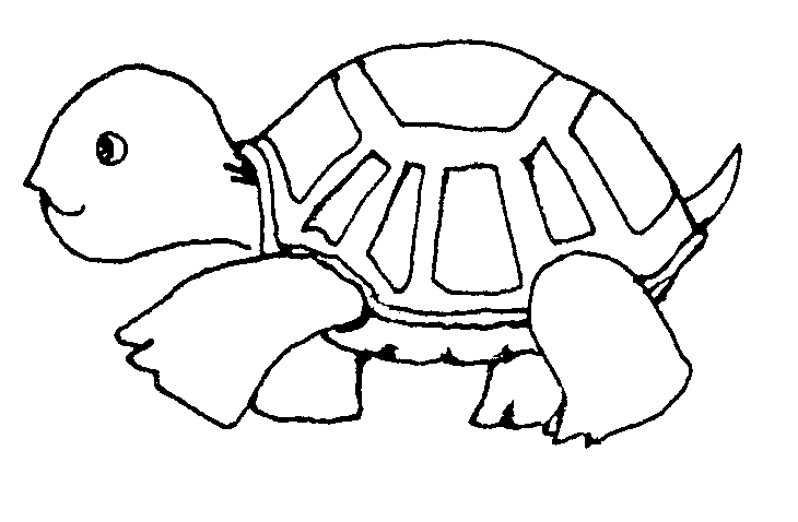 free black and white turtle clip art - photo #8