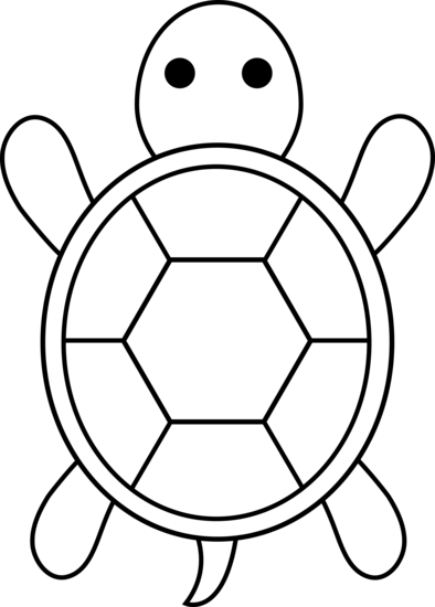 free turtle clipart black and white - photo #10