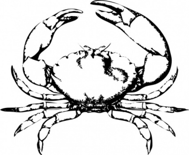 crab legs clipart - photo #47