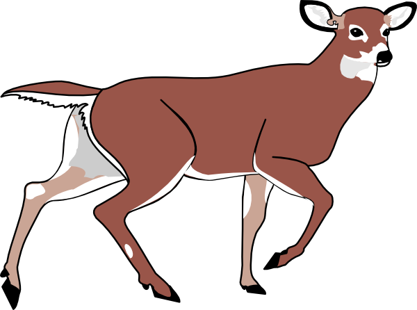 free vector deer clipart - photo #42