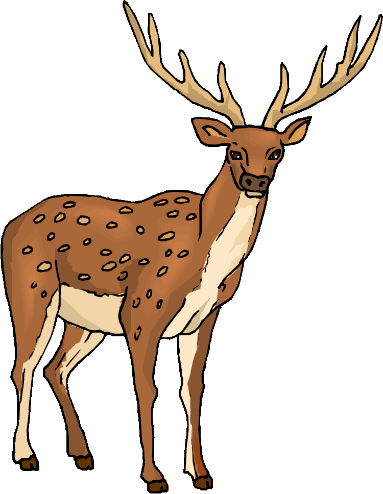free deer cartoon clipart - photo #28