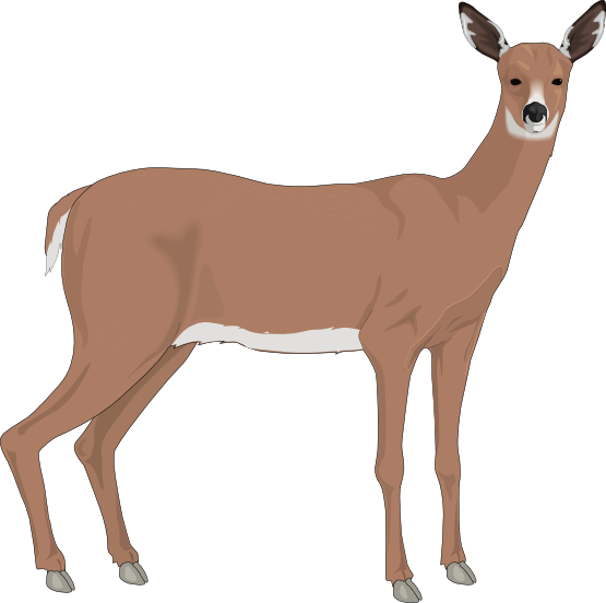 deer clip art free download - photo #50