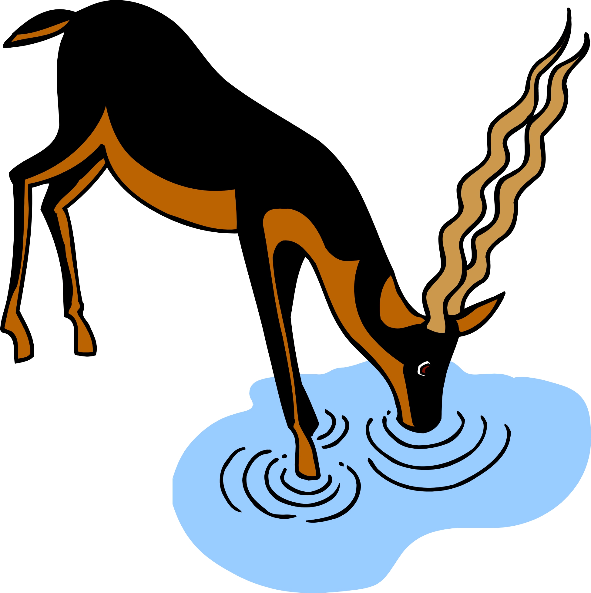 dog drinking water clipart - photo #28