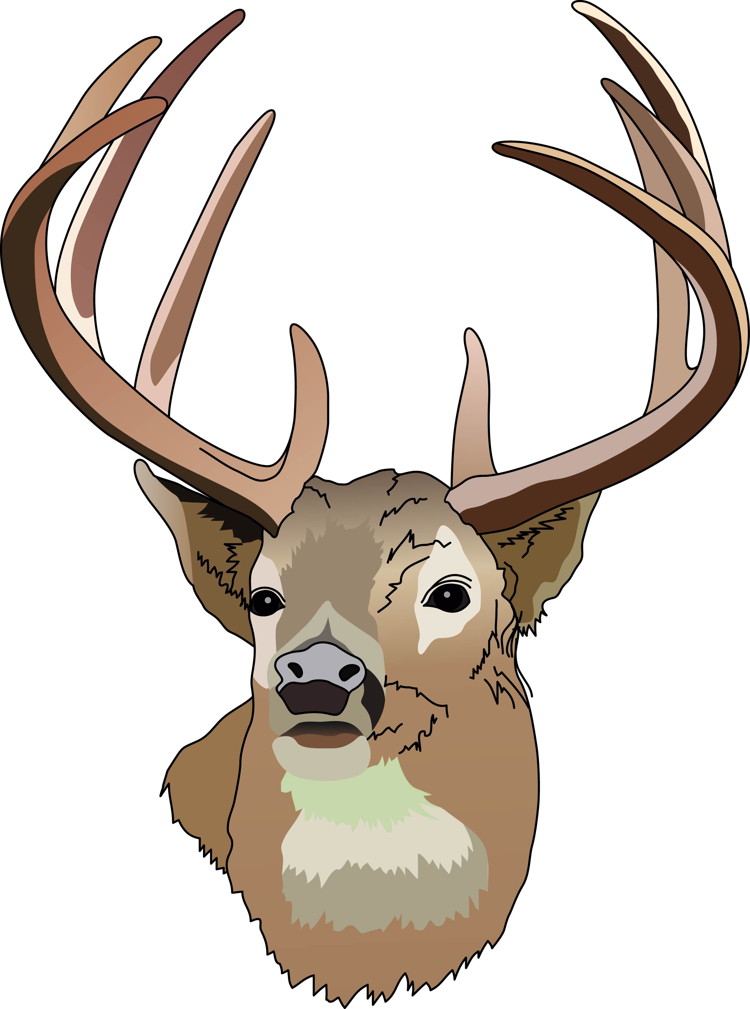 deer clip art free download - photo #30