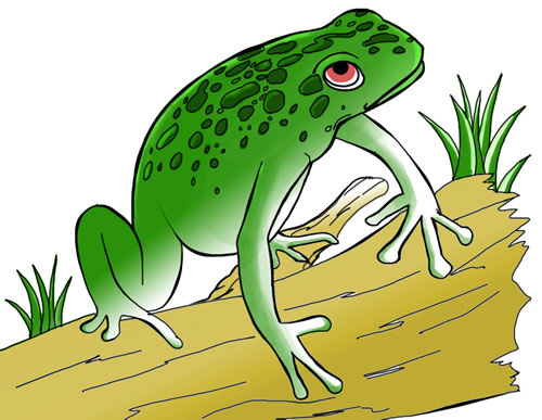 clipart cartoon frogs - photo #48
