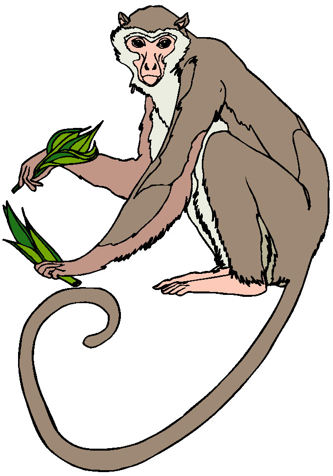 monkey clip art free downloads - photo #32