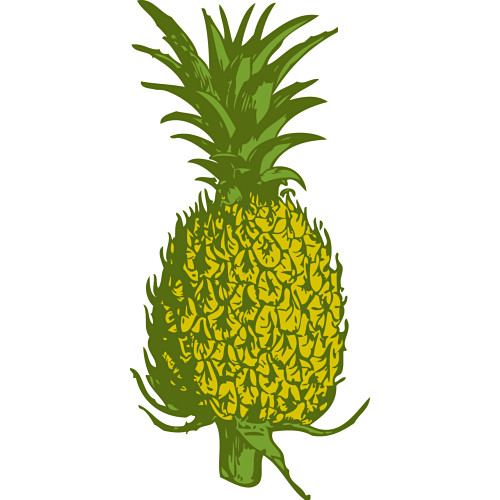clipart images pineapples - photo #30