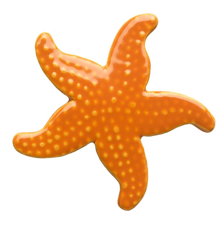 clipart pictures starfish - photo #26