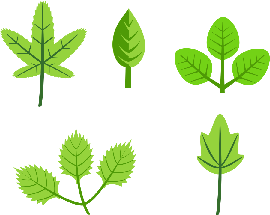 leaf clip art free vector download - photo #1