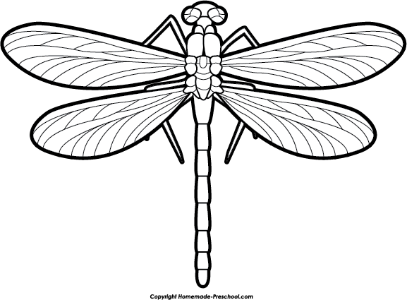 dragonfly clipart - photo #50
