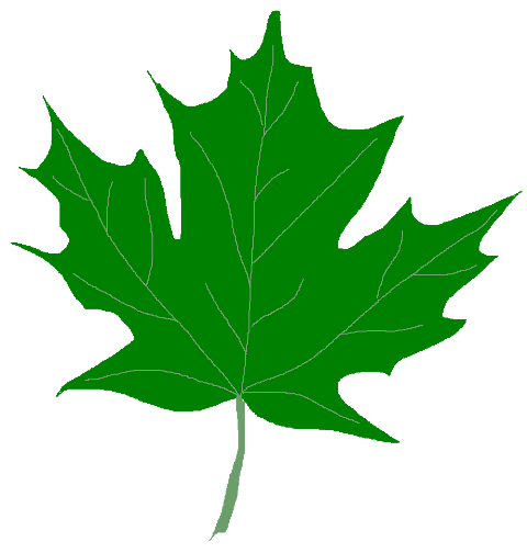 clipart of green leaves - photo #29