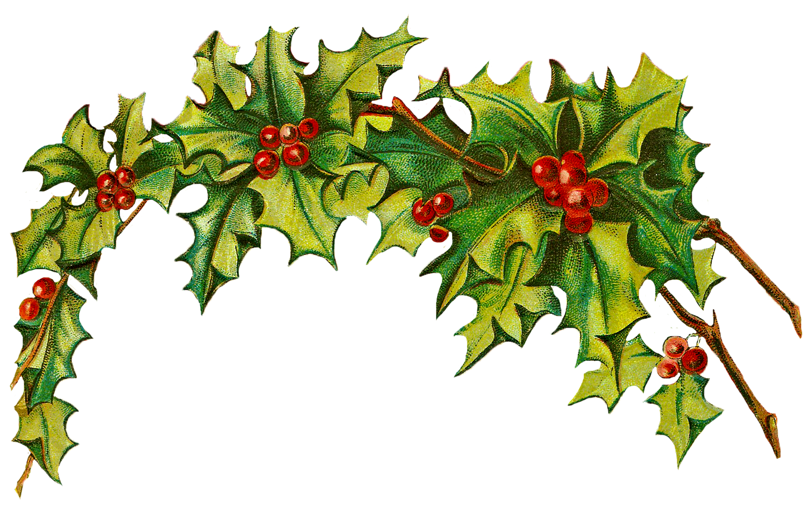 holly clip art free download - photo #37