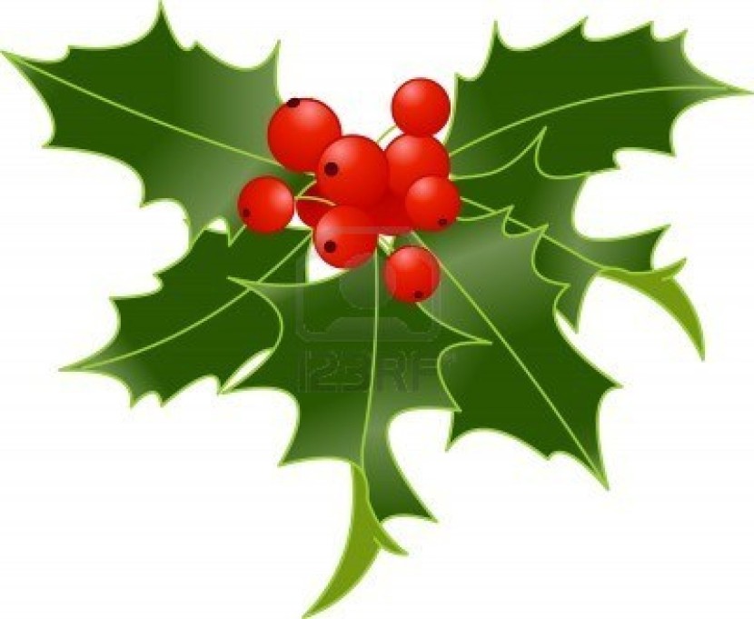 holly clip art free download - photo #1